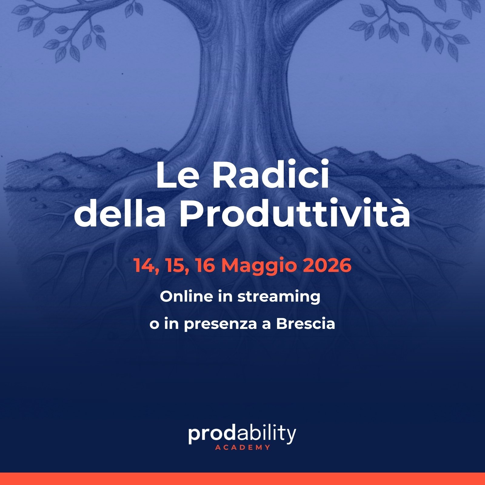 Copertina pagina Radici della produttività (1)
